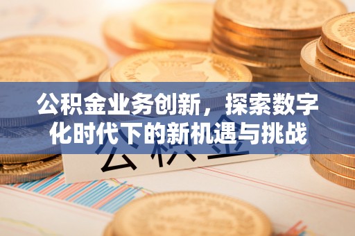 滦平公积金业务创新，探索数字化时代下的新机遇与挑战