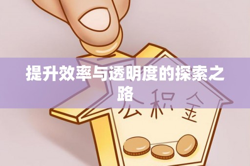 滦平提升效率与透明度的探索之路