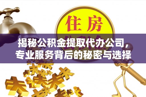 滦平揭秘公积金提取代办公司，专业服务背后的秘密与选择指南