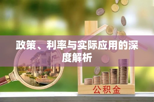 滦平政策、利率与实际应用的深度解析