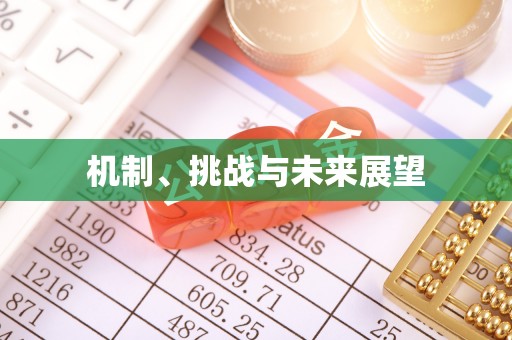 滦平机制、挑战与未来展望