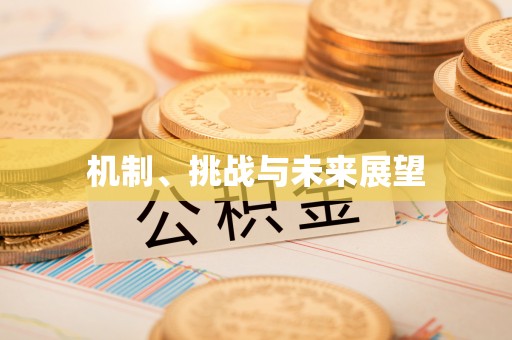 滦平机制、挑战与未来展望