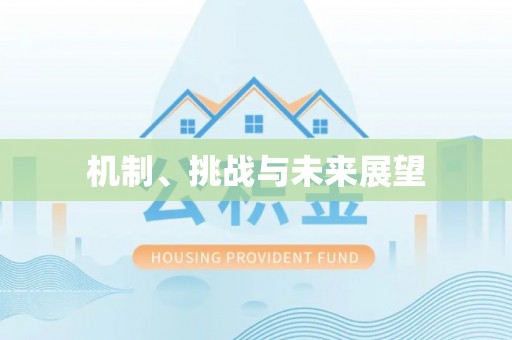 滦平机制、挑战与未来展望